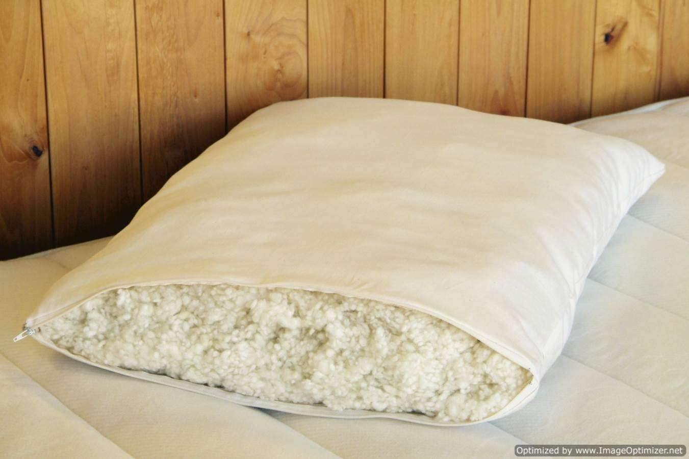 Organic Cotton Pillow. Made in USA