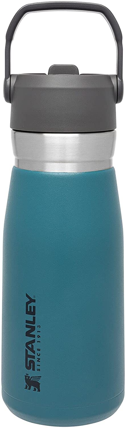 Stainless Steel Bottle with Straw. Vacuum Insulated Water Bottle for Home. Office or Car. Reusable Leakproof Cup with Straw and Handle 22 oz