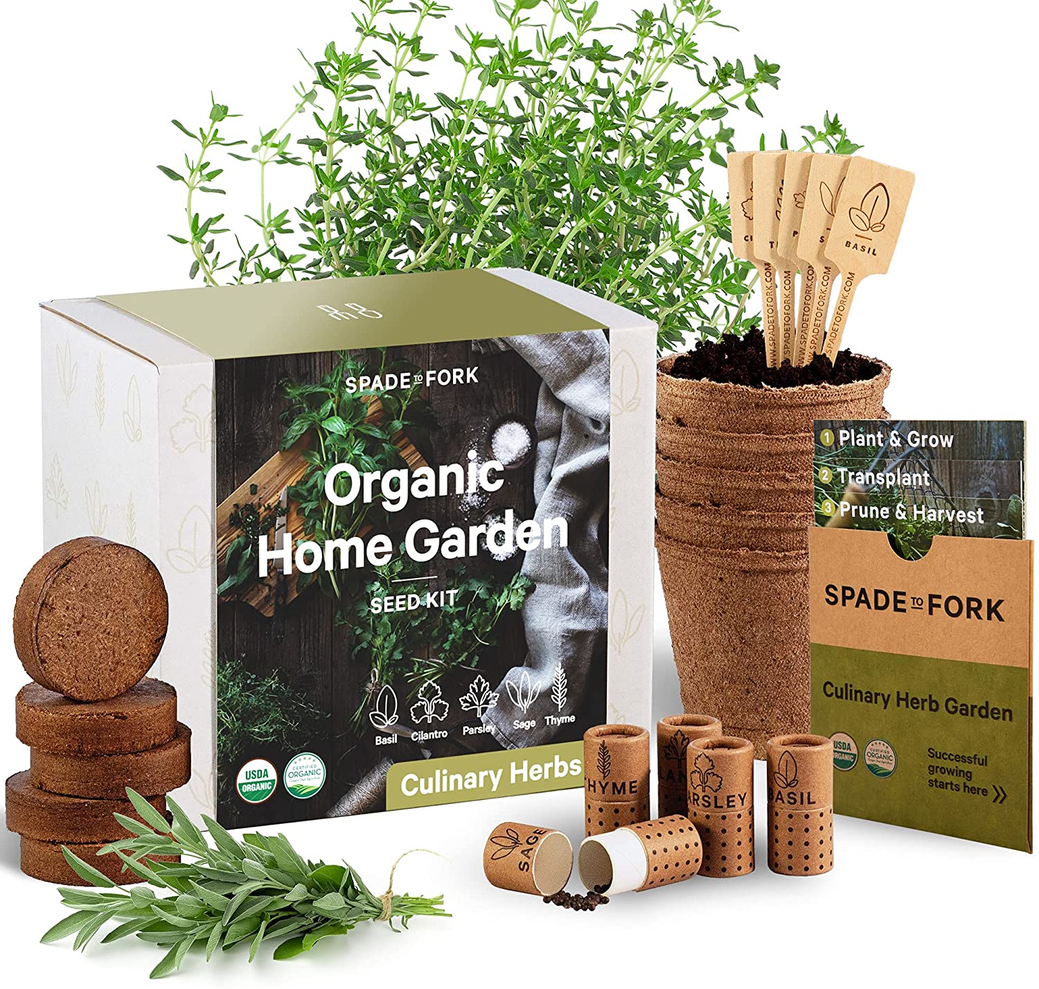Indoor Herb Garden Starter Kit - Certified USDA Organic Non GMO - 5 Herb Seed Basil. Cilantro. Parsley. Sage. Thyme. Potting Soil. Peat Pots